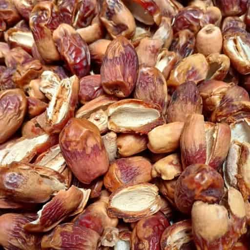 تصویر 2 از خرید خرما زاهدی بدون هسته + قیمت فروش استثنایی